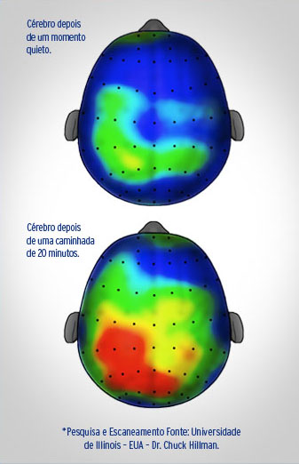 fundamentacao-teorica